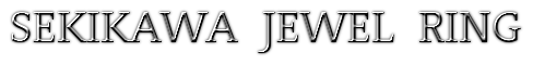 創作ジュエリー　セキカワジュエリング